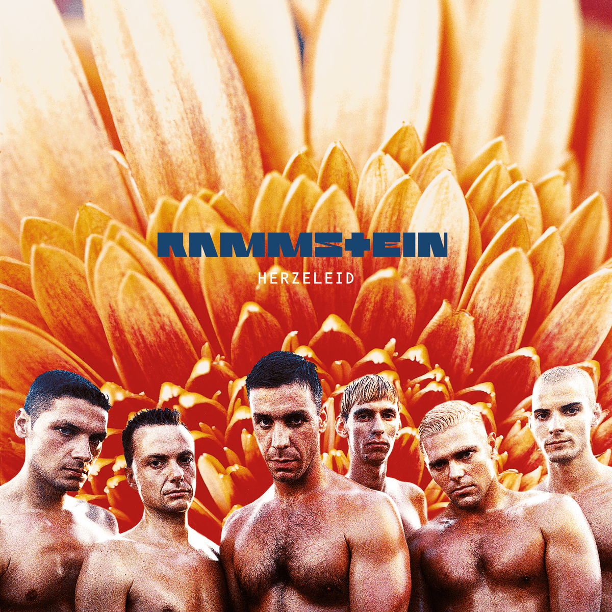 Herzeleid - Rammstein Album Cover